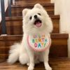 New Happy Birthday Embroidery Dog bib Pet Cat Dog bib Mouth towel - red - M