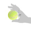 Outdoor Pet Tennis Ball for Small Dogs  - Green - Pet Supplies