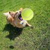 Outdoor Pet Tennis Ball for Small Dogs  - Green - Pet Supplies