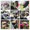 Pet Goggles Dog UV Protection Glasses Waterproof Windproof Anti-Fog Eye Glasses - Black